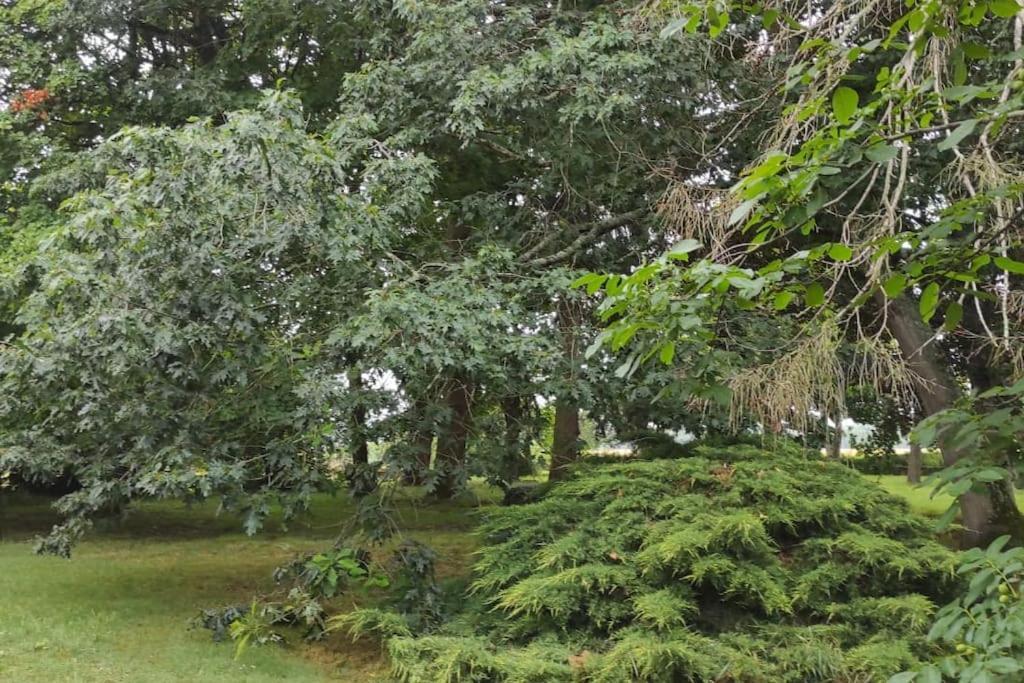 Propriete De Campagne Vierzon Exterior foto